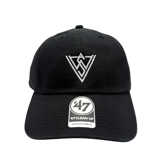 VWAS Logo Dad Hat