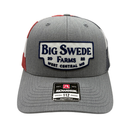 Big Swede Logo Hat