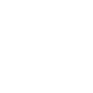American Marksman